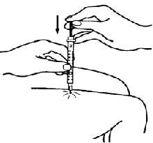 Diabet14.gif (6289 bytes)