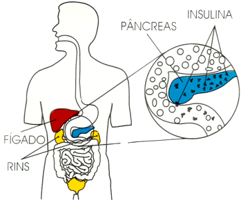 Diabete.GIF (34495 bytes)