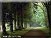 Veja ampliada (32kb)